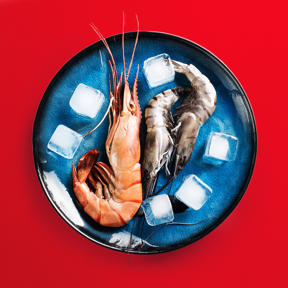 P7_Sortiment_Image_1000x1000px_Fisch PIER 7 Sortiment - Fisch